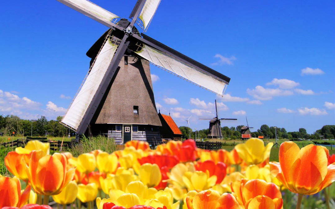 Boerin uit Zeewolde wil niet langer premie betalen aan verplicht pensioenfonds